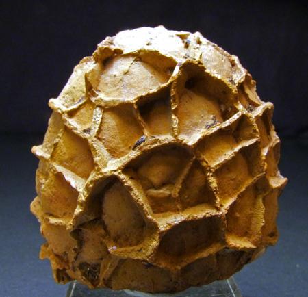 Limonite Psm Calcite