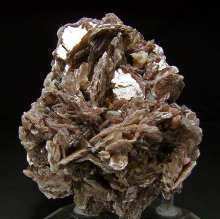 Muscovite On Albite