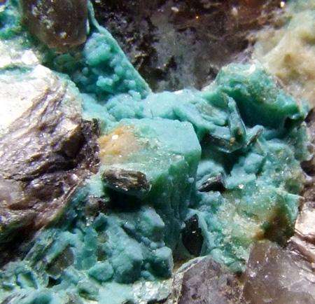 Torbernite & Turquoise On Chrysocolla