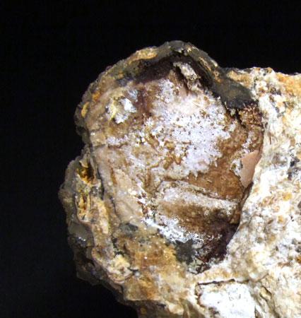 Ushkovite & Xanthoxenite