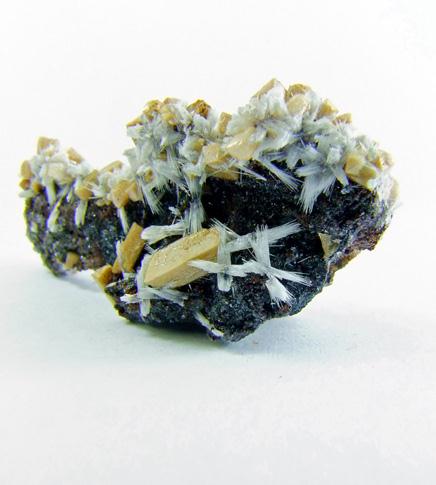 Bultfonteinite & Poldervaartite