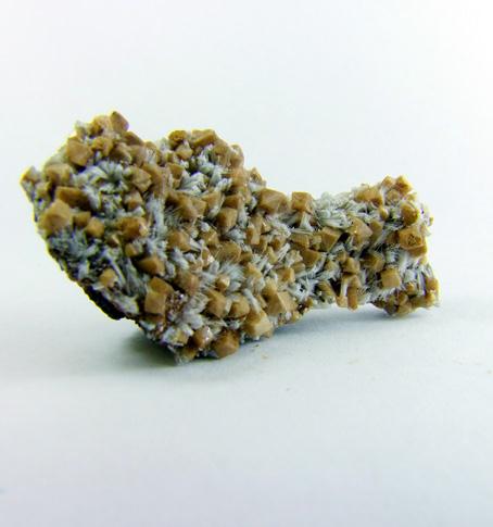 Bultfonteinite & Poldervaartite