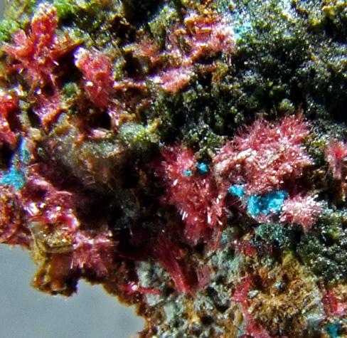 Colbaltaustinite Lavendulan & Erythrite