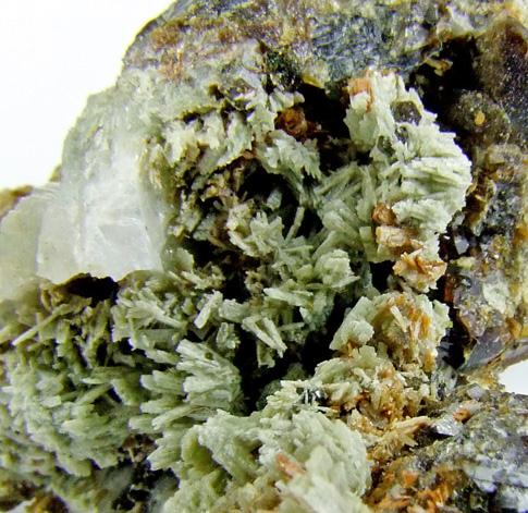 Diopside On Andradite