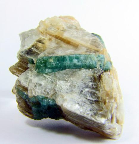 Elbaite In Muscovite