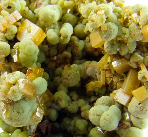 Mimetite & Wulfenite