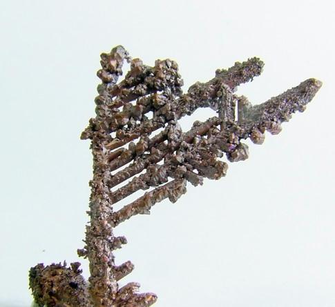 Native Copper