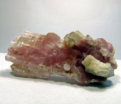 Polylithionite On Elbaite