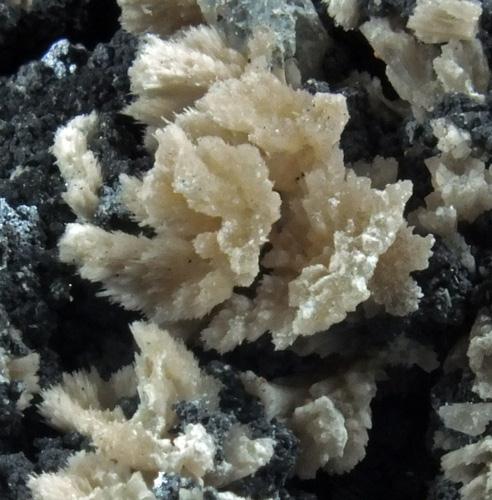 Pyromorphite On Galena