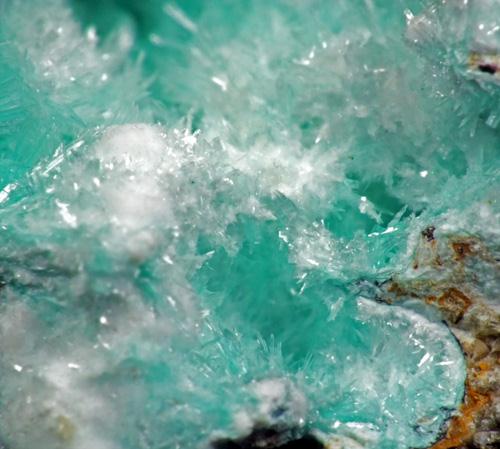 Aurichalcite & Hydrozincite