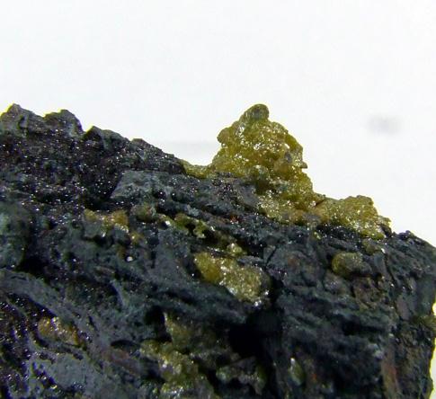 Bromian Chlorargyrite On Coronadite