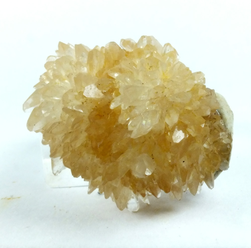 Creedite