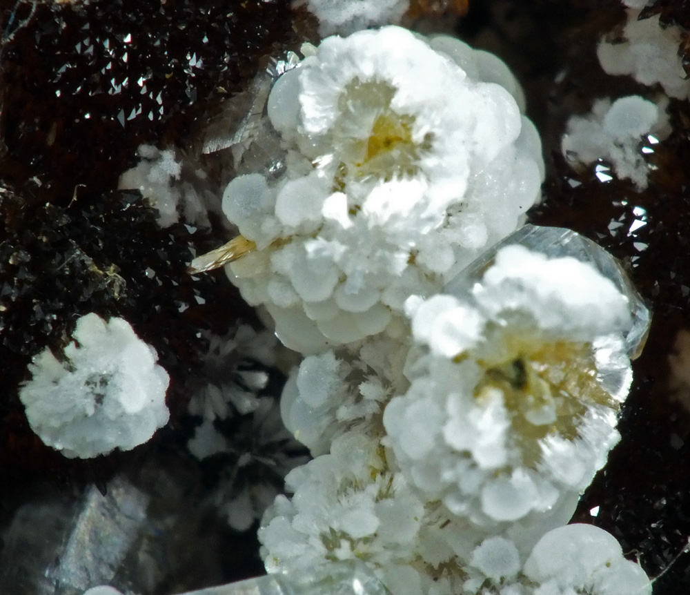 Gonnardite On Ferroan Calcite