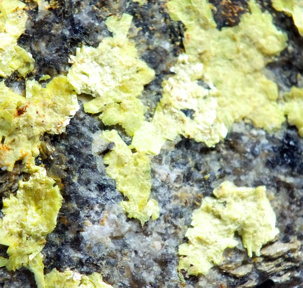 Metanatroautunite