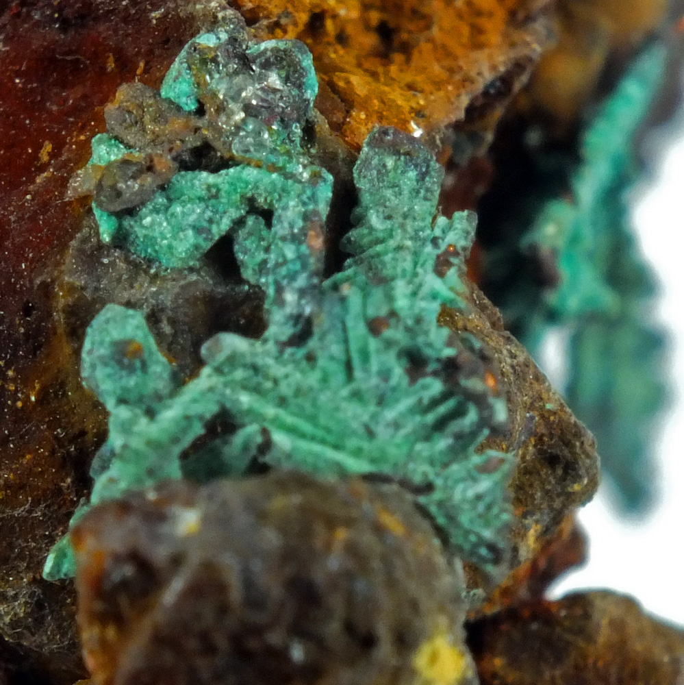 Native Copper Paratacamite & Nantokite