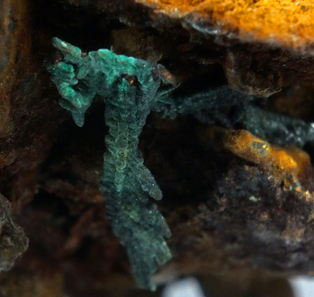 Native Copper Paratacamite & Nantokite