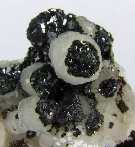 Pyrite On Calcite