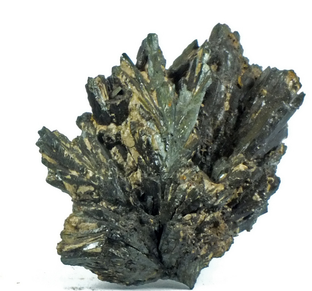 Santabarbaraite & Vivianite