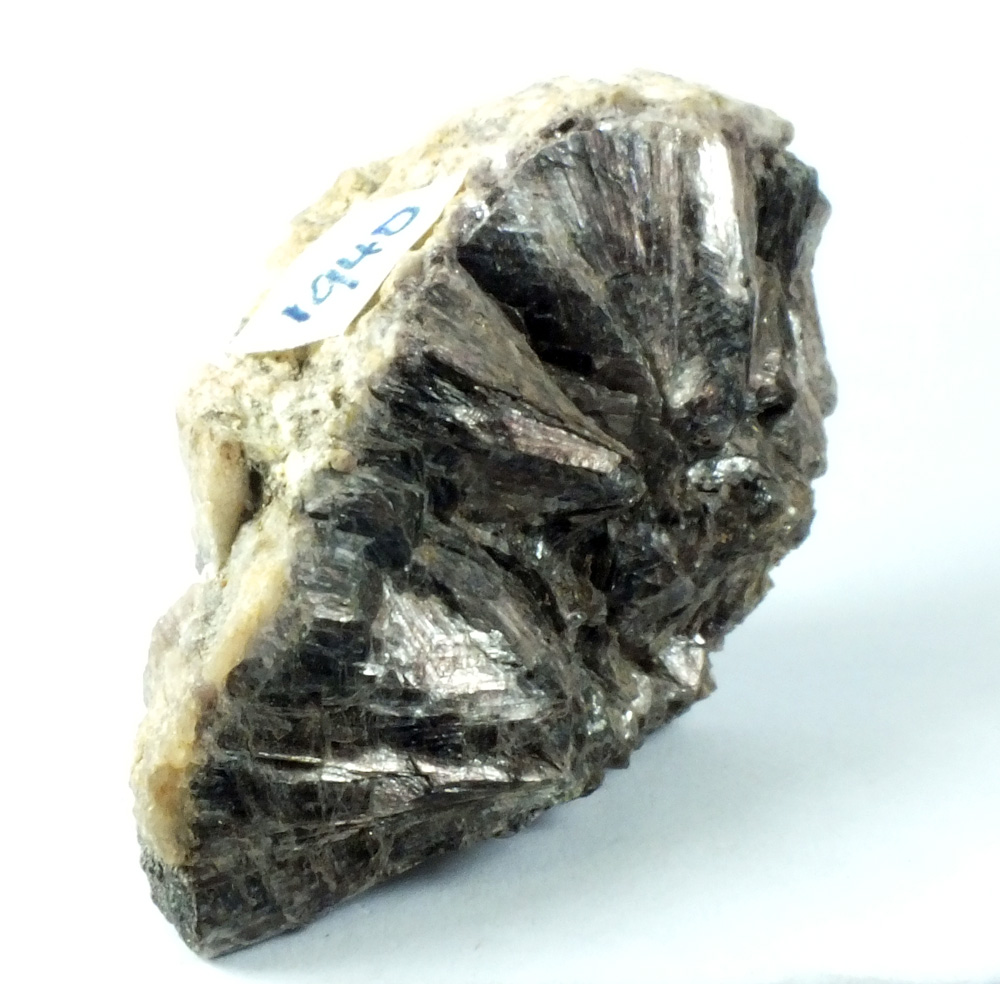 Zinnwaldite