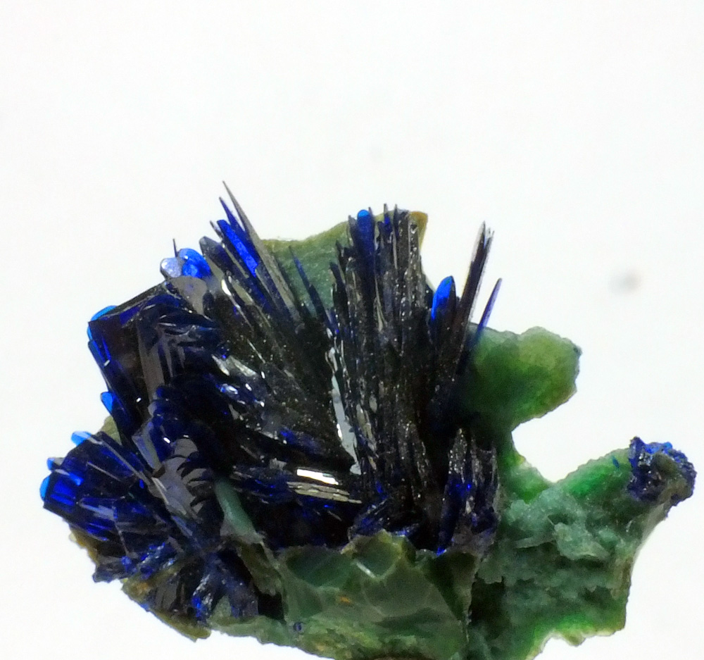 Azurite On Chrysocolla