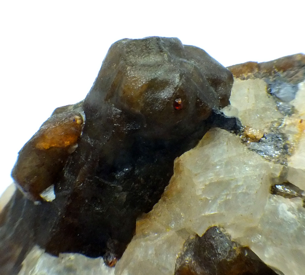 Bustamite In Calcite