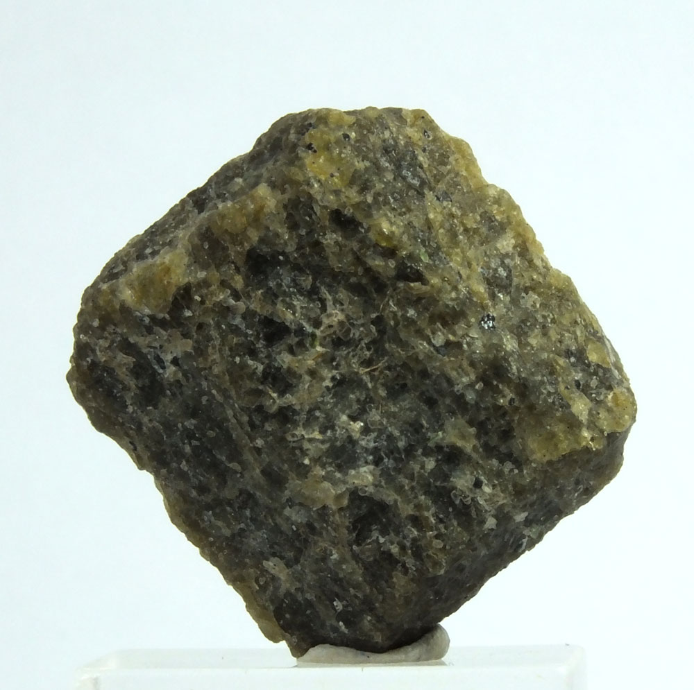 Forsterite