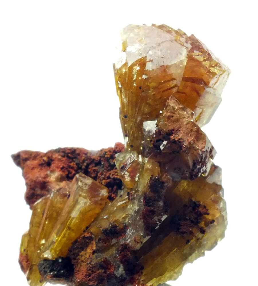 Manganoan Adamite