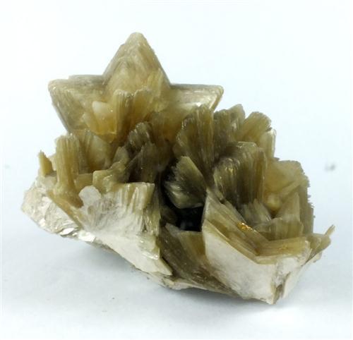 Muscovite