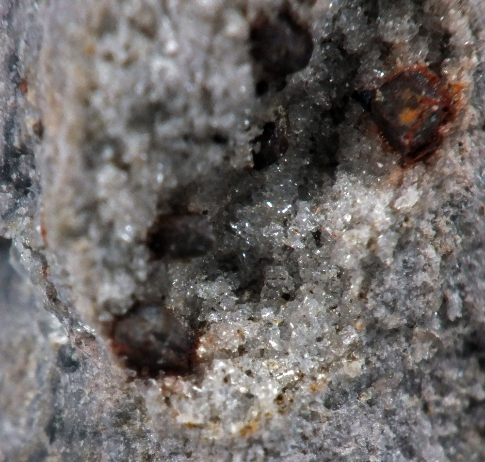 Phlogopite Fayalite & Tridymite