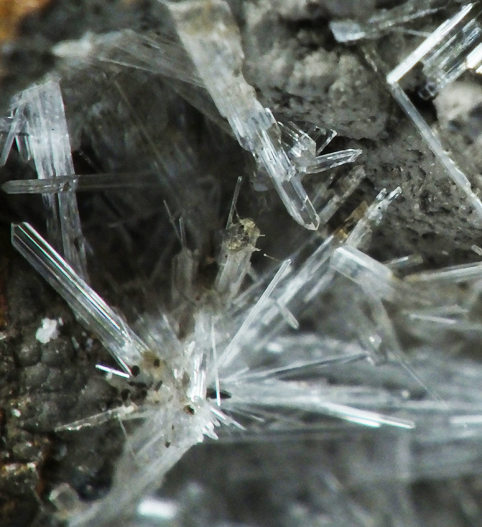 Scholzite