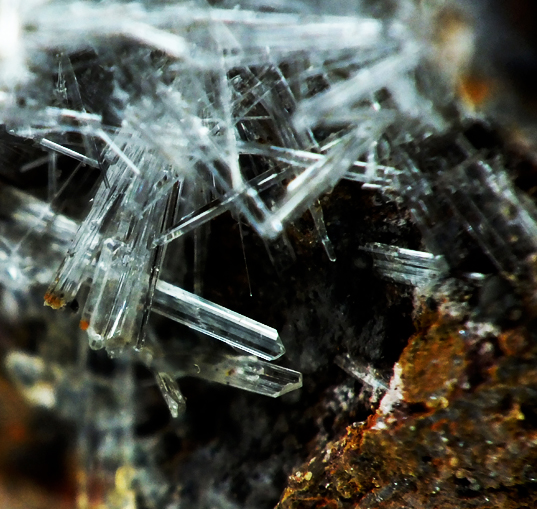 Scholzite