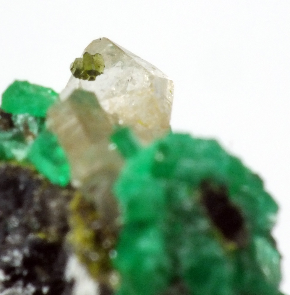 Schultenite Zincolivenite & Cuprian Adamite