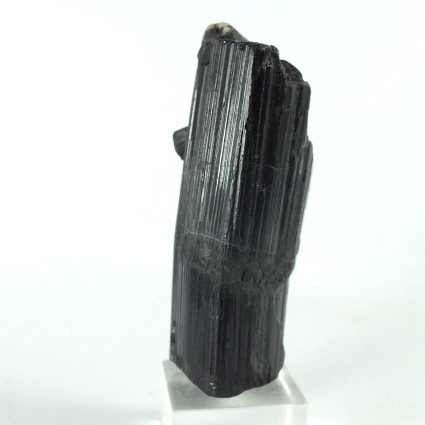 Schorl