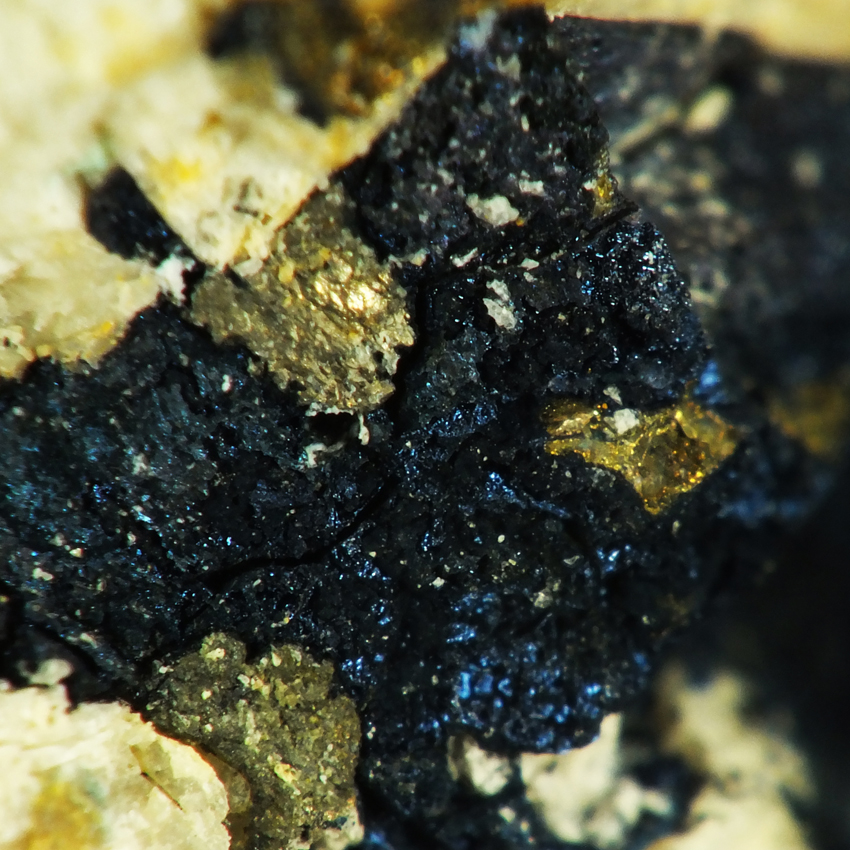 Bornite Chalcopyrite & Pyrite