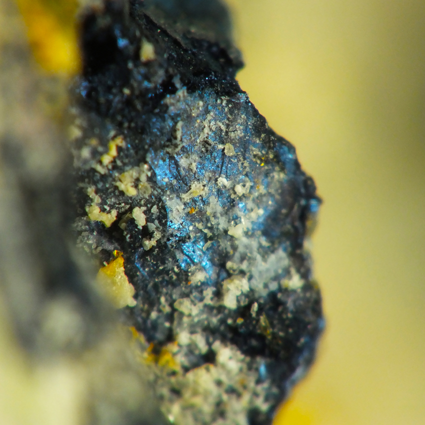 Bornite Chalcopyrite & Pyrite