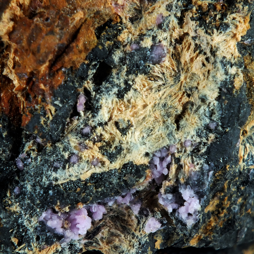 Mansfieldite & Smolyaninovite Psm Erythrite