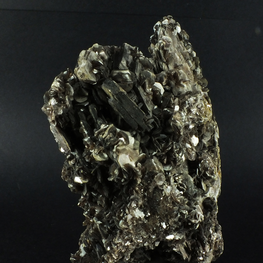 Muscovite