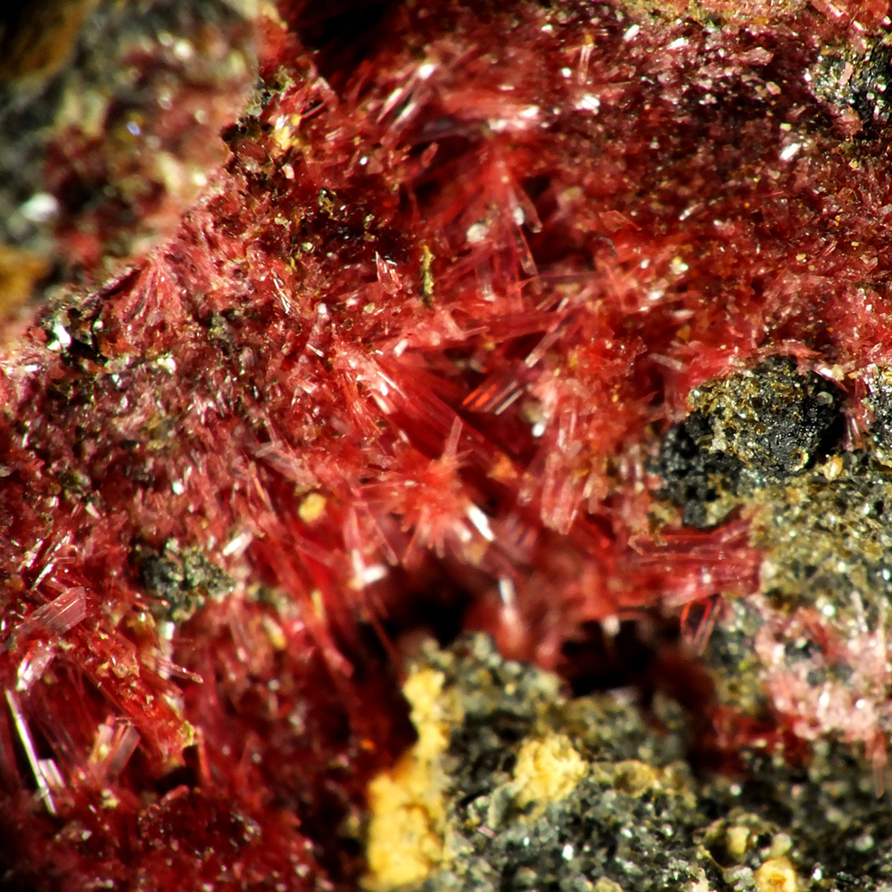 Erythrite