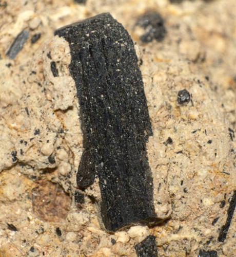 Ferro-hornblende