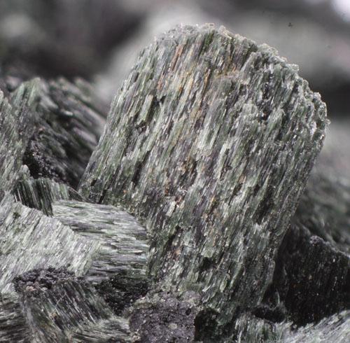 Actinolite Psm Hornblende