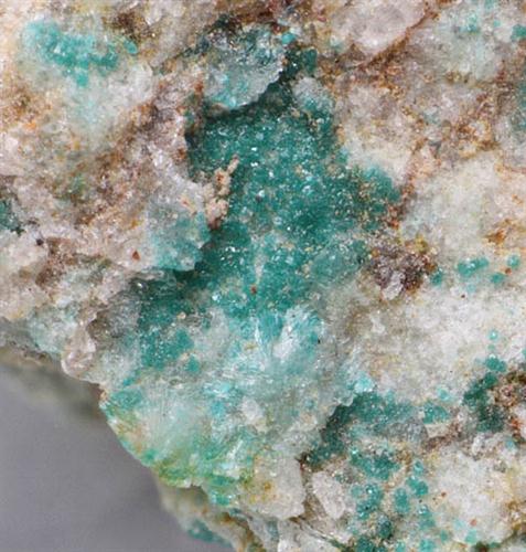 Clinoatacamite