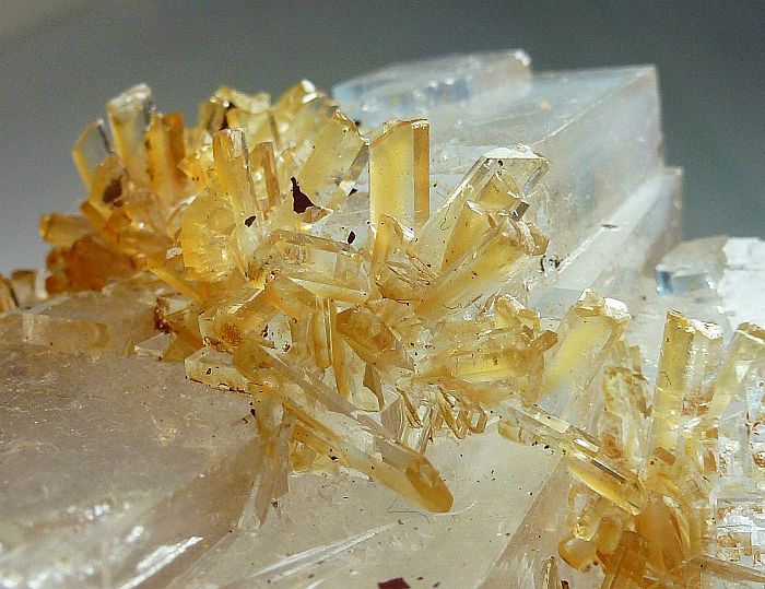 Halite & Gypsum