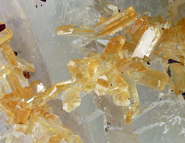 Halite & Gypsum