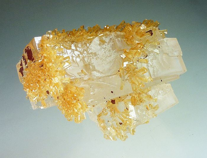 Halite & Gypsum