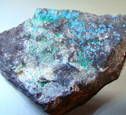 Boleite Atacamite & Gold