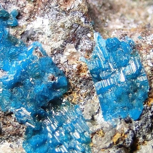 Caledonite & Linarite