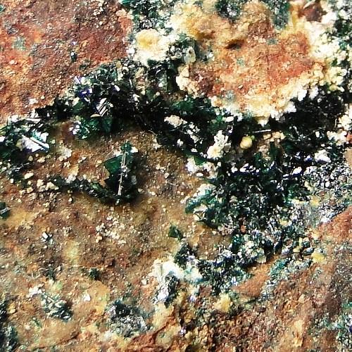 Anatacamite