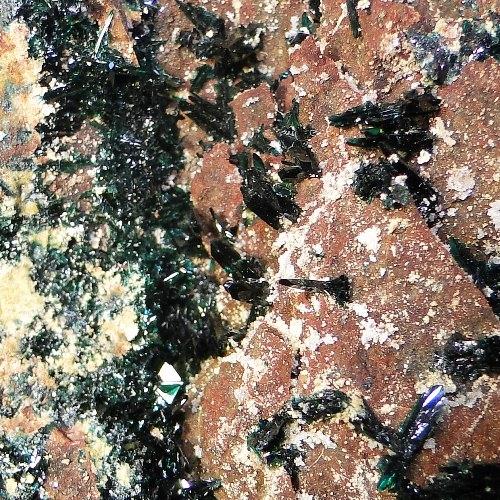 Anatacamite