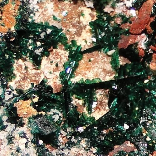 Anatacamite