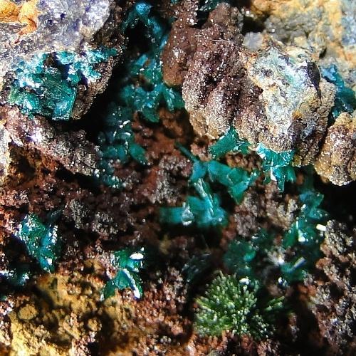 Libethenite & Pseudomalachite